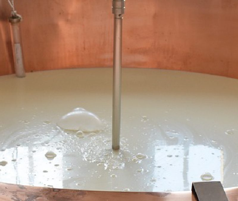 Cuajo para queso: pruebas rápidas para verificar potencia antes de producir