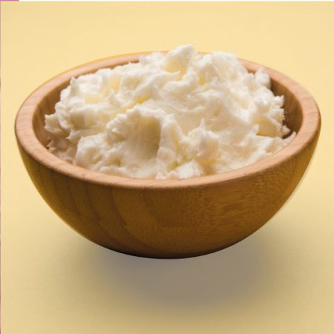 Cuajo para queso: cómo influye la pasteurización HTST en la coagulación (y cómo ajustarlo)